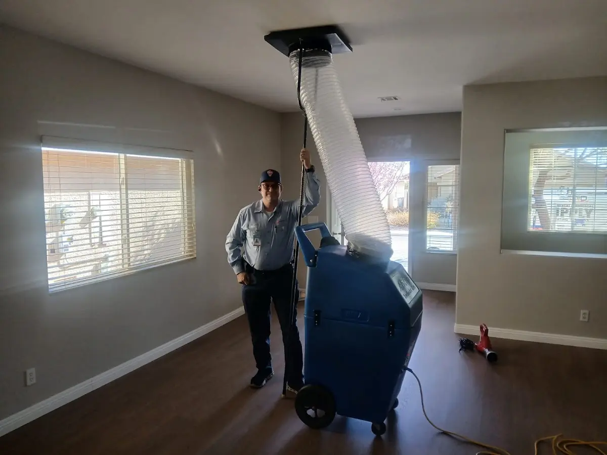 Professional Dryer Vent Cleaning work inside a Travelers Rest home